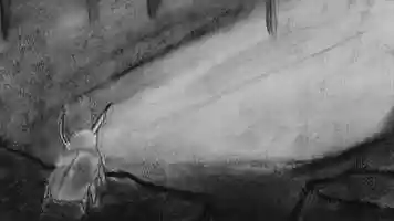 Free download Cave Exploration video and edit with RedcoolMedia movie maker MovieStudio video editor online and AudioStudio audio editor onlin