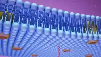 Free download Cecure by Reza Hygiene video and edit with RedcoolMedia movie maker MovieStudio video editor online and AudioStudio audio editor onlin