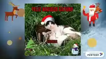 Free download Cena de navidad gatuna video and edit with RedcoolMedia movie maker MovieStudio video editor online and AudioStudio audio editor onlin