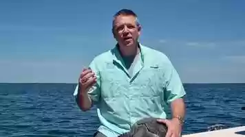 Free download Certina DS Action Diver Sea Turtle Conservancy video and edit with RedcoolMedia movie maker MovieStudio video editor online and AudioStudio audio editor onlin