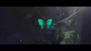 Free download Champion Green _ Brian Williams video and edit with RedcoolMedia movie maker MovieStudio video editor online and AudioStudio audio editor onlin