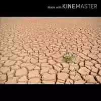 Free download Chapter 5 - The Great Indian Desert, Day 2 video and edit with RedcoolMedia movie maker MovieStudio video editor online and AudioStudio audio editor onlin