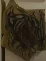 Free download Charcoal Mutation video and edit with RedcoolMedia movie maker MovieStudio video editor online and AudioStudio audio editor onlin