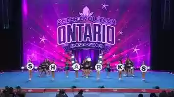 Free download Cheer Sport  Small Fin Sharks - Intl Global Club 6 R1 video and edit with RedcoolMedia movie maker MovieStudio video editor online and AudioStudio audio editor onlin