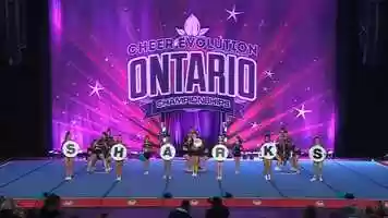 Free download Cheer Sport  Small Fin Sharks - Intl Global Club 6 R2 video and edit with RedcoolMedia movie maker MovieStudio video editor online and AudioStudio audio editor onlin