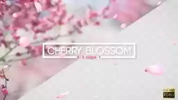 Free download Cherry Blossom Motion Design video and edit with RedcoolMedia movie maker MovieStudio video editor online and AudioStudio audio editor onlin