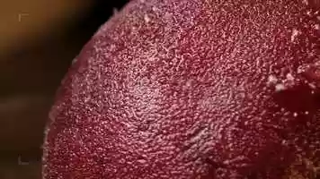 Free download Cherry On A Stick Stock Video video and edit with RedcoolMedia movie maker MovieStudio video editor online and AudioStudio audio editor onlin