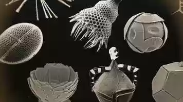 Free download Chez les myxomyctes video and edit with RedcoolMedia movie maker MovieStudio video editor online and AudioStudio audio editor onlin