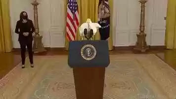 Free download #ChickenJoes Afghanistan speecho... video and edit with RedcoolMedia movie maker MovieStudio video editor online and AudioStudio audio editor onlin