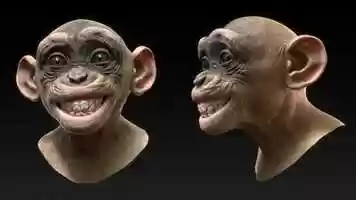 Free download chimp face shapes test video and edit with RedcoolMedia movie maker MovieStudio video editor online and AudioStudio audio editor onlin