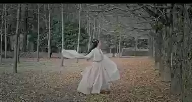 Free download Chinese Classical Dance Say Yu Meng video and edit with RedcoolMedia movie maker MovieStudio video editor online and AudioStudio audio editor onlin