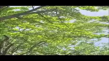 Free download CHOSENJU MOVIE CLIP.mp4 video and edit with RedcoolMedia movie maker MovieStudio video editor online and AudioStudio audio editor onlin