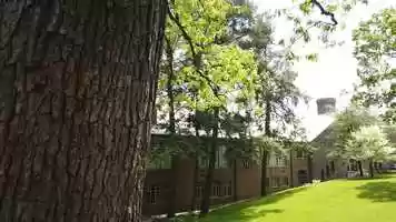 Free download Chosen Trailer (for public) REAL ONE video and edit with RedcoolMedia movie maker MovieStudio video editor online and AudioStudio audio editor onlin