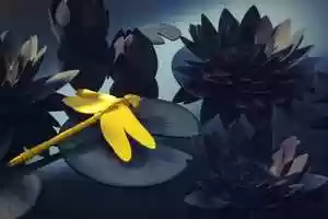 Free download Chris Turner | Dragonfly video and edit with RedcoolMedia movie maker MovieStudio video editor online and AudioStudio audio editor onlin