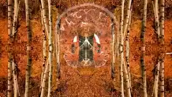 Free download Chronicles of the 5 Senses - Teaser 6th Sense video and edit with RedcoolMedia movie maker MovieStudio video editor online and AudioStudio audio editor onlin