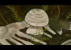 Free download Chubbi the Mushroom video and edit with RedcoolMedia movie maker MovieStudio video editor online and AudioStudio audio editor onlin