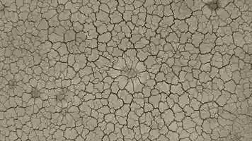 Free download Cincinnati, Ohio www.bEpic.com B-Successful Elev8 Life-Changing Product | Coming to: ME LA KY KS IA IN IL | video and edit with RedcoolMedia movie maker MovieStudio video editor online and AudioStudio audio editor onlin