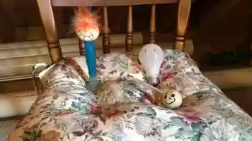 Free download Cinema short film (Shot revers shot) video and edit with RedcoolMedia movie maker MovieStudio video editor online and AudioStudio audio editor onlin