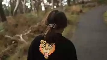 Free download Cinema Turns Nine video and edit with RedcoolMedia movie maker MovieStudio video editor online and AudioStudio audio editor onlin