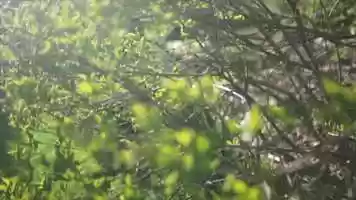 Free download CINE Project #2 video and edit with RedcoolMedia movie maker MovieStudio video editor online and AudioStudio audio editor onlin