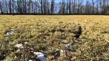 Free download Circle #3: Berkshires, MA video and edit with RedcoolMedia movie maker MovieStudio video editor online and AudioStudio audio editor onlin