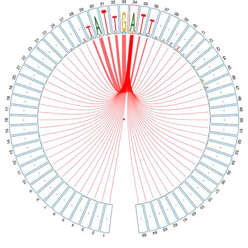 Download web tool or web app CircularLogo