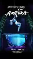 Free download Cirque du Soleil: Amaluna Water Cinemagraph 9:16 video and edit with RedcoolMedia movie maker MovieStudio video editor online and AudioStudio audio editor onlin