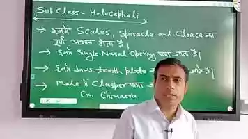 Free download Class -  Chondrichthyes Classification video and edit with RedcoolMedia movie maker MovieStudio video editor online and AudioStudio audio editor onlin