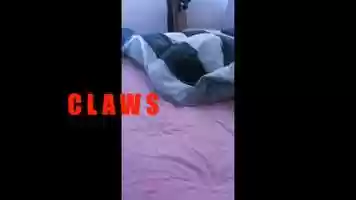 Free download Claws (2020 Movie Trailer) video and edit with RedcoolMedia movie maker MovieStudio video editor online and AudioStudio audio editor onlin