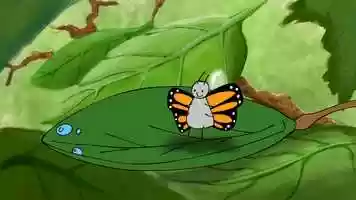 Clip - Life Cycle of the Monarch Butterfly (Animation, Mock-umentary)
