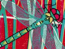 Free download Clips and Sketches 17-18 video and edit with RedcoolMedia movie maker MovieStudio video editor online and AudioStudio audio editor onlin