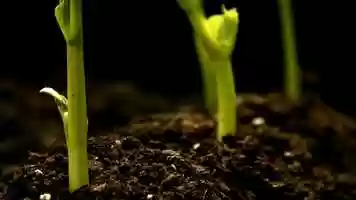 Free download Coalville, UTAH B-Epic Marketing Acceler8 Avid Boosts Collagen Health | Opening: UT TX TN SD SC RI PA | video and edit with RedcoolMedia movie maker MovieStudio video editor online and AudioStudio audio editor onlin