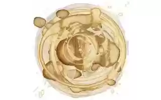 Free download coffee rings video and edit with RedcoolMedia movie maker MovieStudio video editor online and AudioStudio audio editor onlin