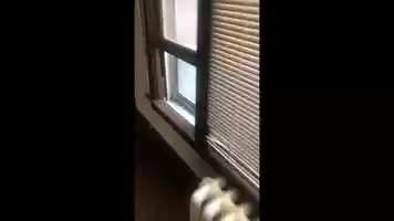 Free download C of O Darwin #2 video and edit with RedcoolMedia movie maker MovieStudio video editor online and AudioStudio audio editor onlin