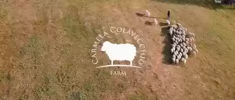 Free download Colavecchio farm - Cheese making video and edit with RedcoolMedia movie maker MovieStudio video editor online and AudioStudio audio editor onlin