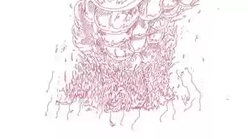 Free download Cold In the Morning - 2D Animation video and edit with RedcoolMedia movie maker MovieStudio video editor online and AudioStudio audio editor onlin