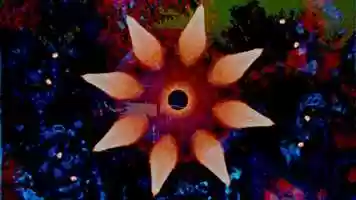 Free download Color Abstractions # 8 excerpt (2019) video and edit with RedcoolMedia movie maker MovieStudio video editor online and AudioStudio audio editor onlin