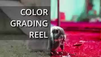 Free download COLOR GRADING REEL video and edit with RedcoolMedia movie maker MovieStudio video editor online and AudioStudio audio editor onlin