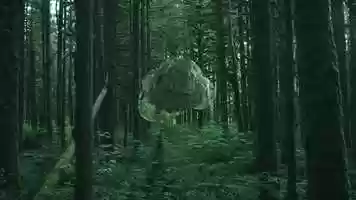 Free download Coloro S/S21 animations video and edit with RedcoolMedia movie maker MovieStudio video editor online and AudioStudio audio editor onlin