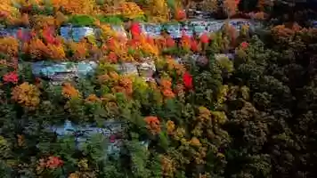 Free download Colors of Fall 4K video and edit with RedcoolMedia movie maker MovieStudio video editor online and AudioStudio audio editor onlin