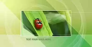Free download Color World Slideshow | After Effects Project Files - Videohive template video and edit with RedcoolMedia movie maker MovieStudio video editor online and AudioStudio audio editor onlin