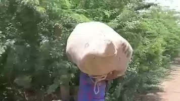 Free download comedy oromo Gadaa Hunde 2019 mp4 video and edit with RedcoolMedia MovieStudio video editor online and AudioStudio audio editor onlin