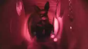 Free download Come Protected - Rubber - O - Vision video and edit with RedcoolMedia movie maker MovieStudio video editor online and AudioStudio audio editor onlin