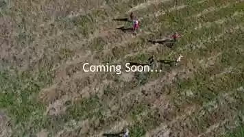 Free download Coming Soon: PL Wiffle Ball video and edit with RedcoolMedia movie maker MovieStudio video editor online and AudioStudio audio editor onlin