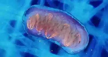 Free download Comply with Infection Control Policies and Procedures in Animal Work: Page 21 video and edit with RedcoolMedia movie maker MovieStudio video editor online and AudioStudio audio editor onlin