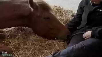 Free download Connection and Cooperation video and edit with RedcoolMedia movie maker MovieStudio video editor online and AudioStudio audio editor onlin