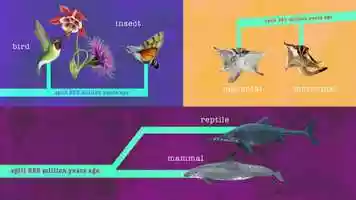 Free download Convergent Evolution video and edit with RedcoolMedia movie maker MovieStudio video editor online and AudioStudio audio editor onlin