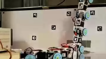 Free download Copying Snake Design video and edit with RedcoolMedia movie maker MovieStudio video editor online and AudioStudio audio editor onlin