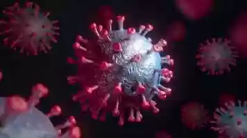 Free download Coronavirus Cell Cluster video and edit with RedcoolMedia movie maker MovieStudio video editor online and AudioStudio audio editor onlin