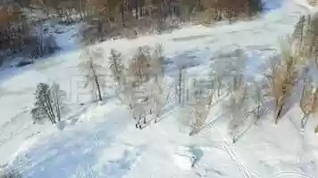 Free download Couple In The Woods Stock Video video and edit with RedcoolMedia movie maker MovieStudio video editor online and AudioStudio audio editor onlin